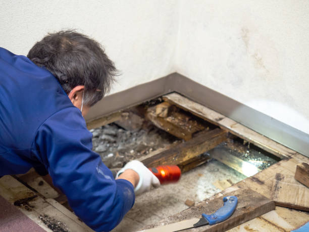 Water Damage Restoration in Pascagoula, MS
